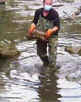 DƬ